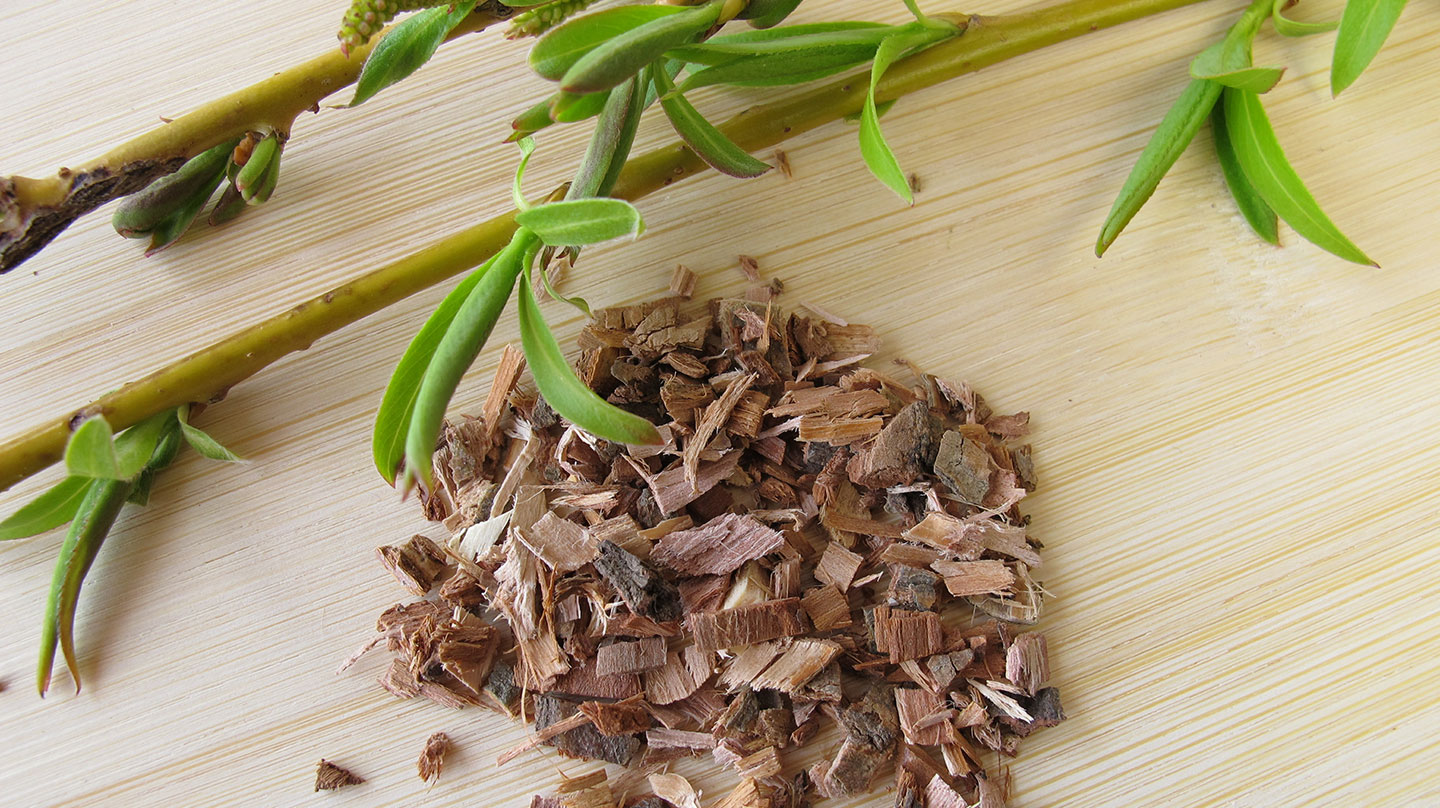 Ob Rinde, Blätter oder Früchte - in Bäumen stecken viele Heilkräfte